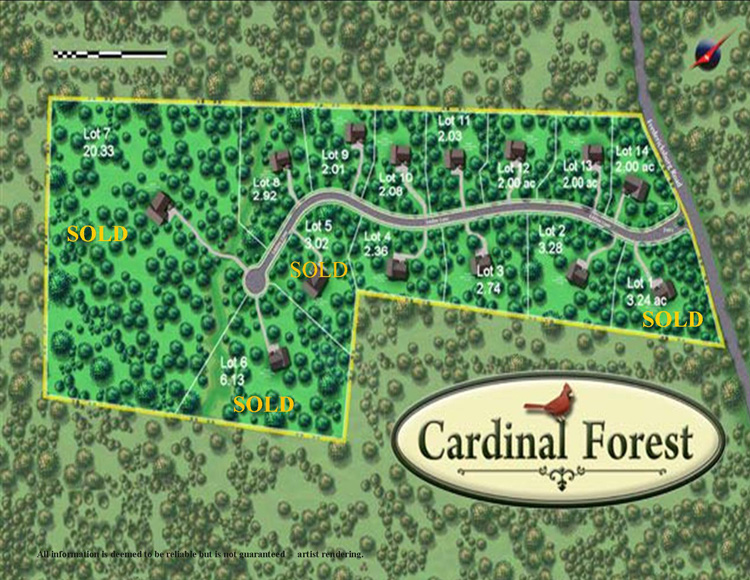 Cardinal Forest